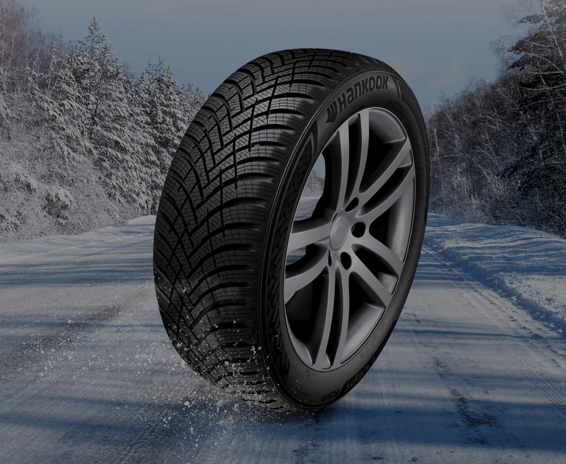 165/65R14 83T XL ICEPT RS3 W462